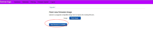 Flash new firmware update